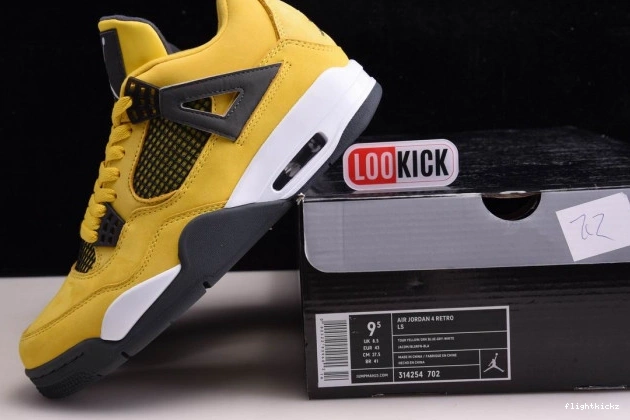 Air Jordan CT8527-700 Lightning Retro 4 1005